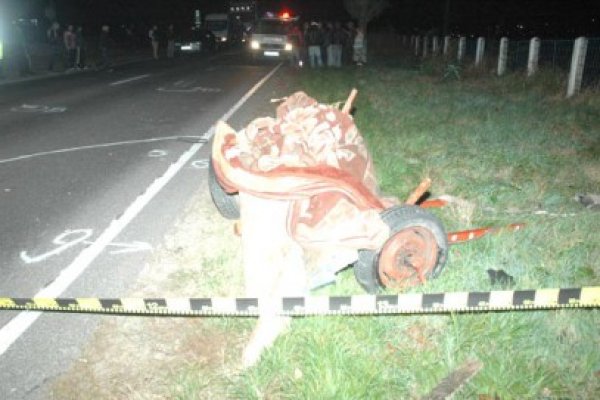 Accident rutier în județul Constanța: au fost implicate o căruță și un autoturism: 4 copii au fost răniți